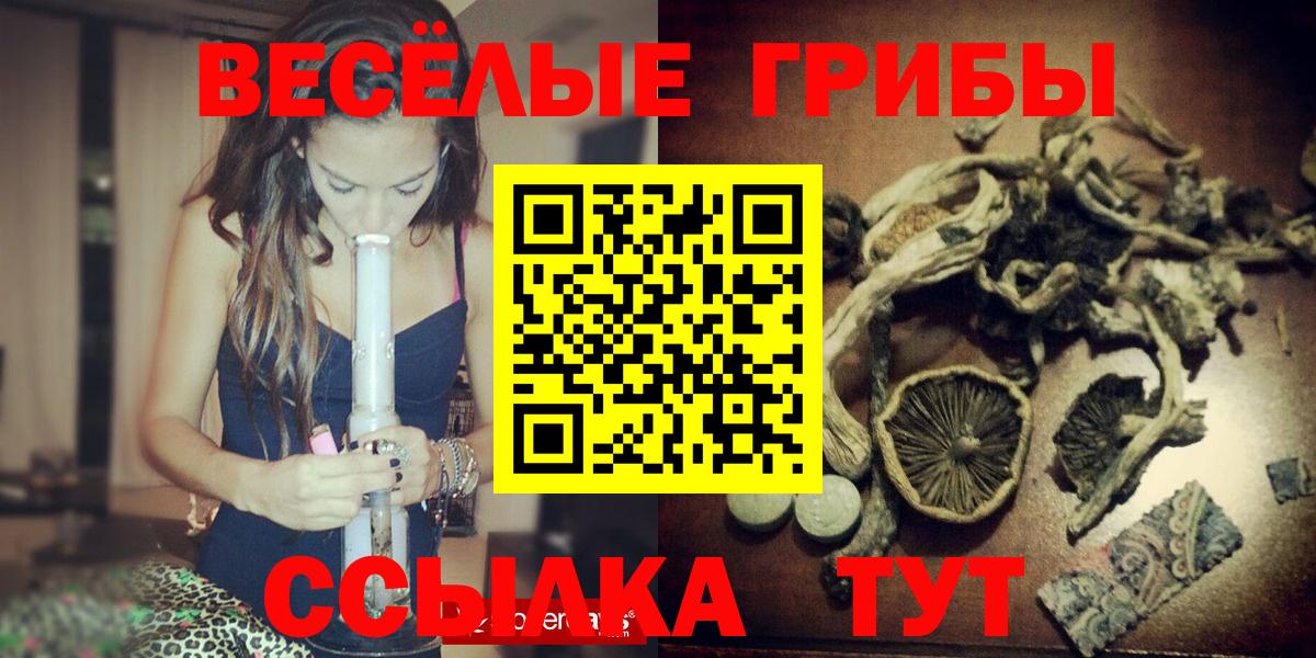 Гулькевичи  Псилоцибиновые грибы MAGIC MUSHROOMS  Вход с VPN  Псилоцибиновые грибы прущие грибы 